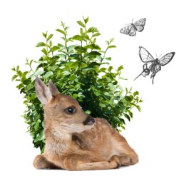 Rispetto natura | Caglificio Clerici