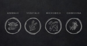 coagulanti microbico animale vegetale chimosina