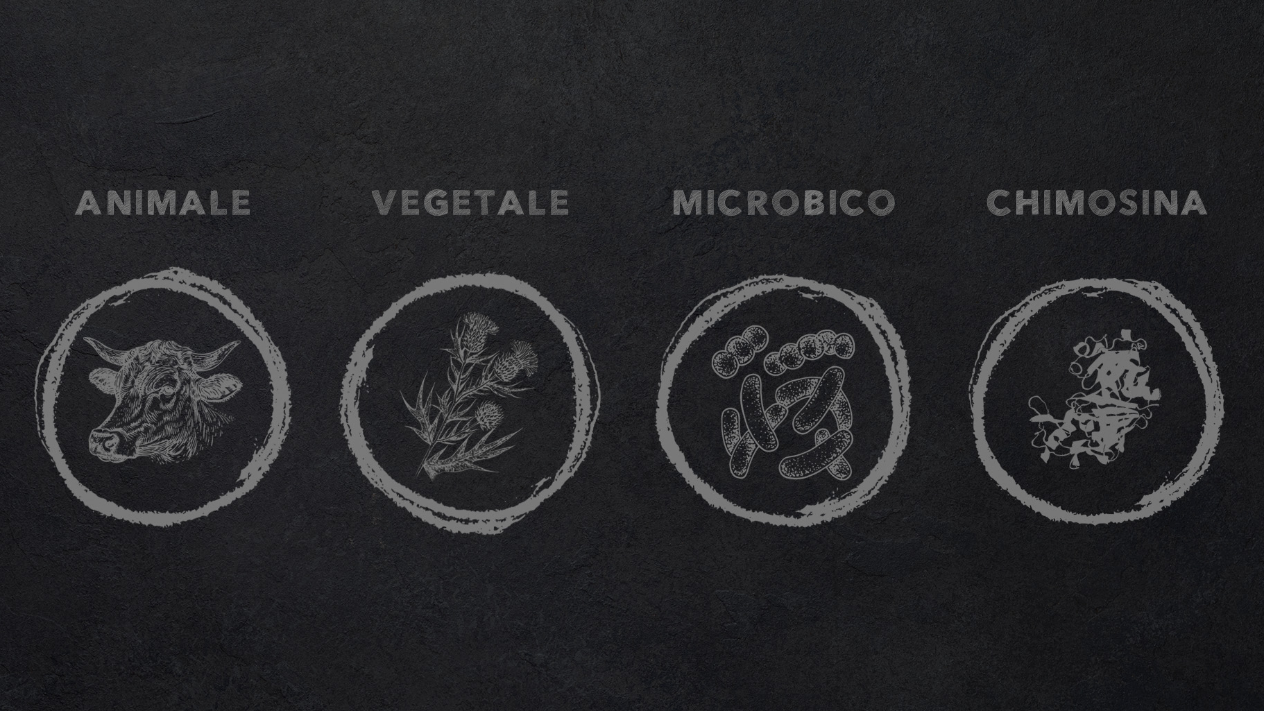 coagulanti microbico animale vegetale chimosina