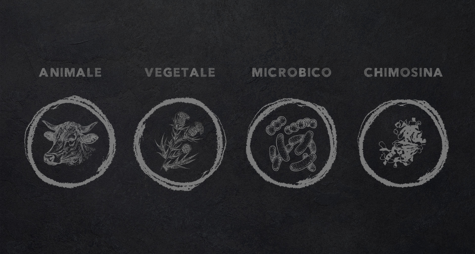 coagulanti microbico animale vegetale chimosina